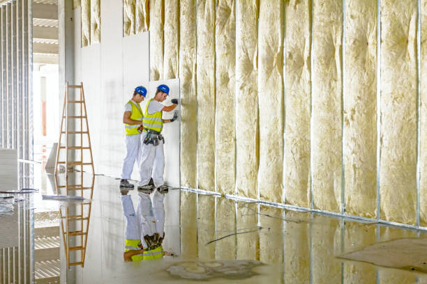 Insulation Replacement Services in Algona, WA